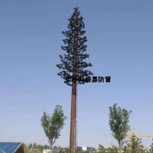 這是什么？看到圖先猜猜再進來，猜對了的都是公雞中的戰(zhàn)斗機